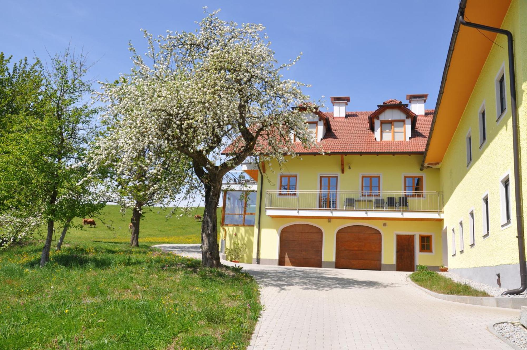 Ferienwohnung Mayrhofer Hofkirchen im Mühlkreis Kültér fotó